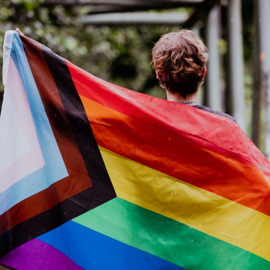 Homepage banner Linking to EHRC