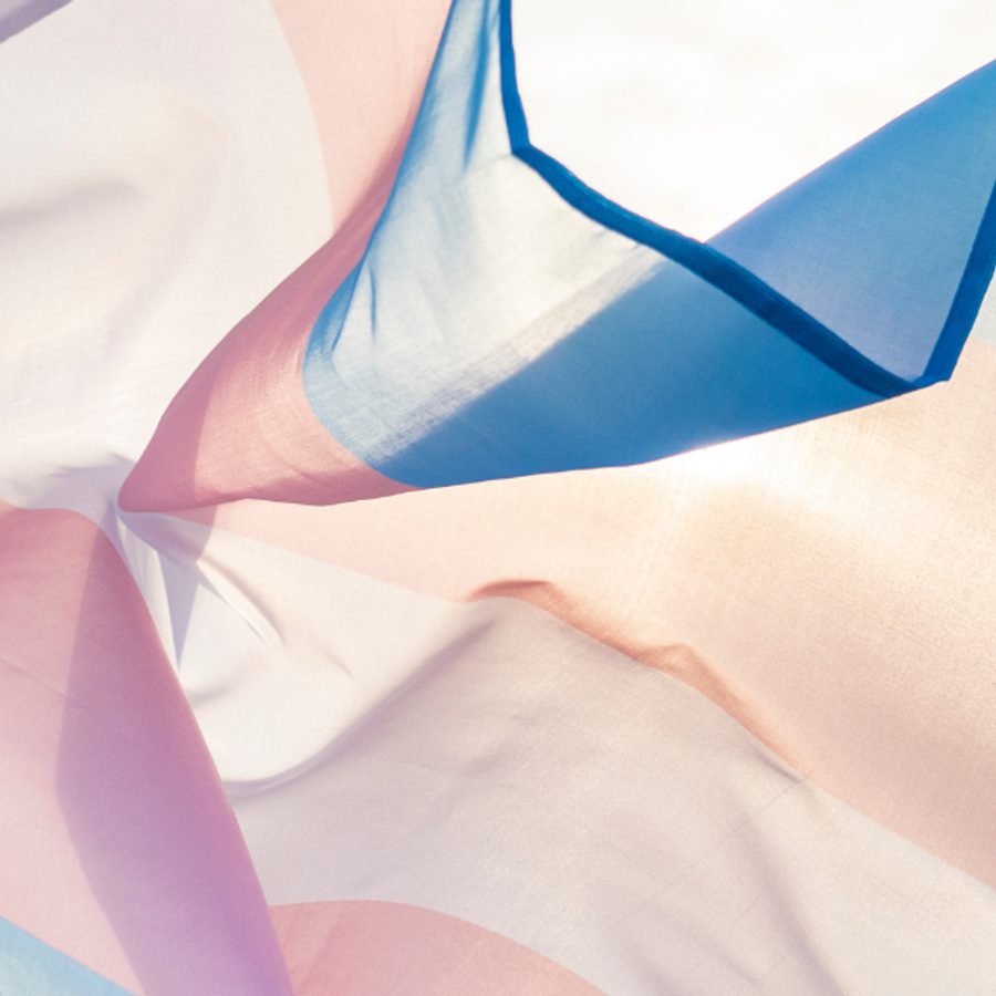 Trans flag banner