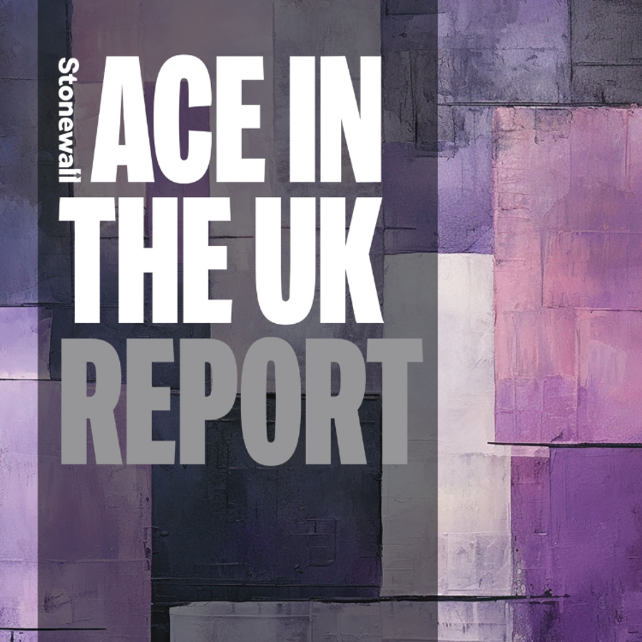Ace report cover 2
