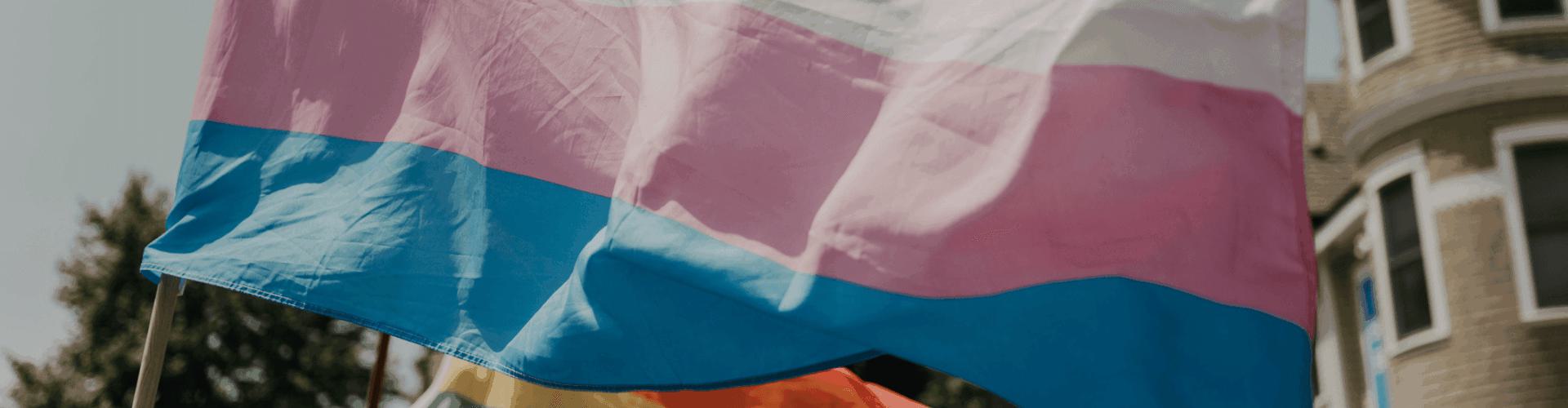 The trans flag - white, pink and blue horizontal stripes - being help up outdoors.